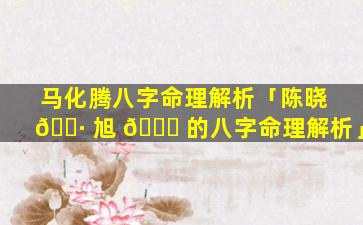马化腾八字命理解析「陈晓 🌷 旭 🐟 的八字命理解析」